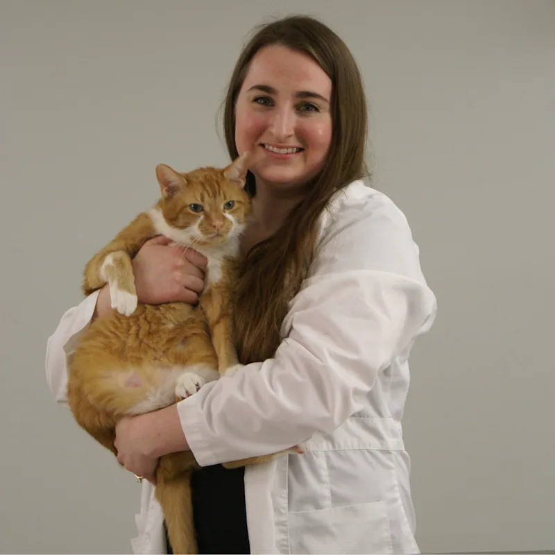Carly DeVore veterinarian at Mason Family Pet Hospital Carly DeVore veterinarian at Mason Family Pet Hospital