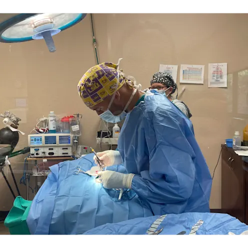 Veterinarian Performing Surgery