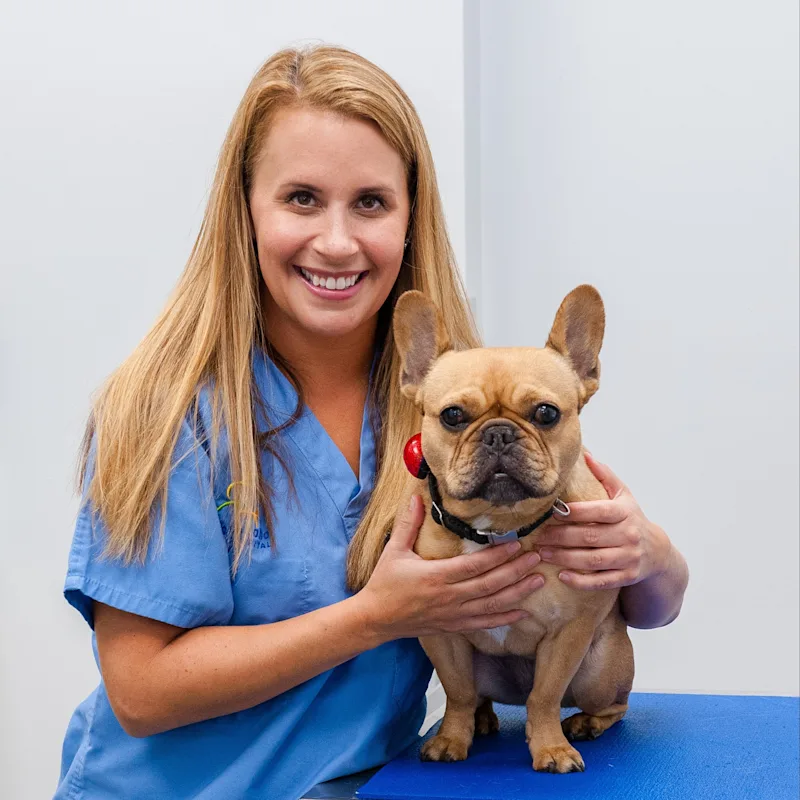 Timnah Lee from Tribeca Soho Animal Hospital Timnah Lee from Tribeca Soho Animal Hospital