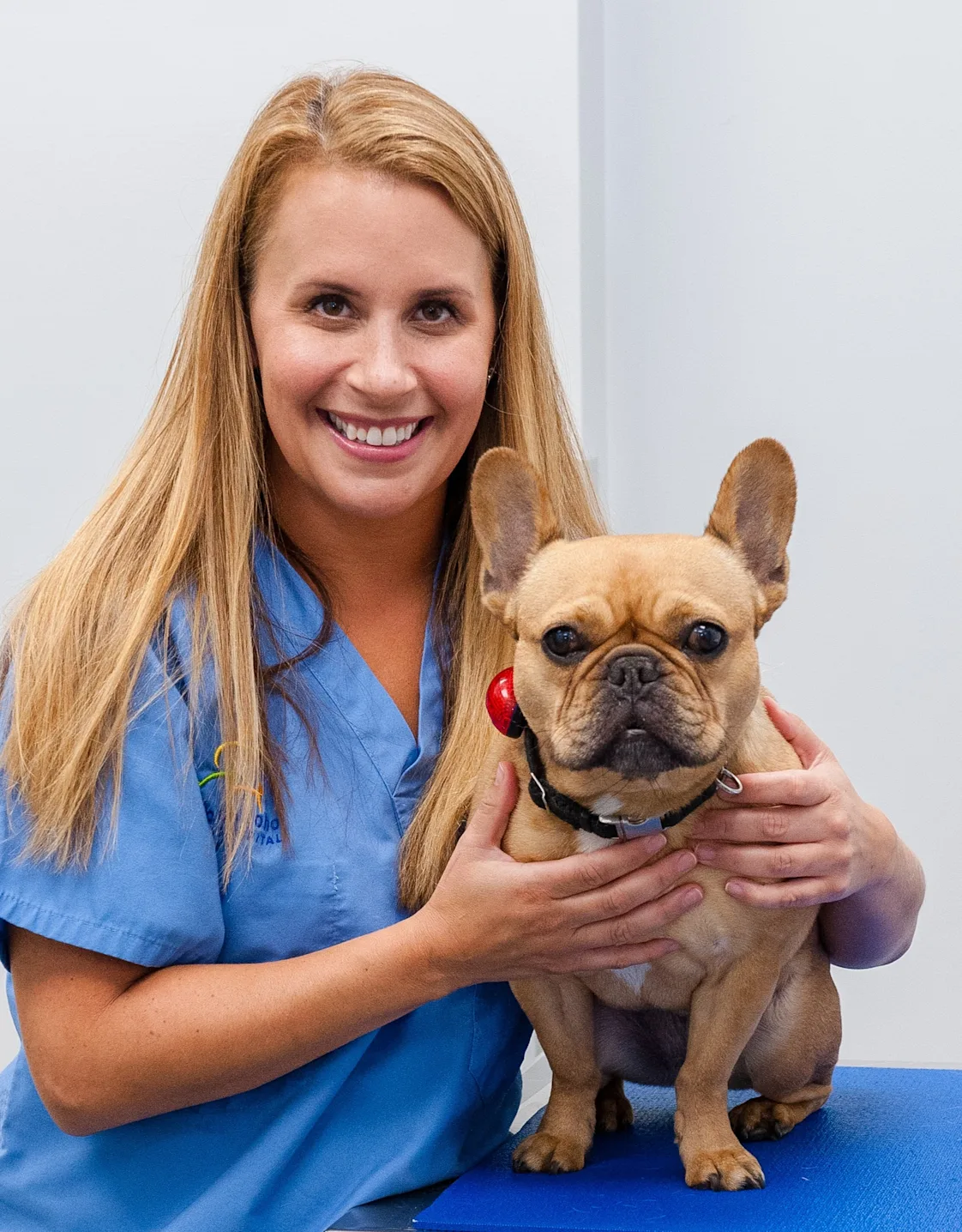 Timnah Lee from Tribeca Soho Animal Hospital Timnah Lee from Tribeca Soho Animal Hospital