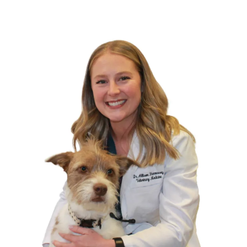Dr. Allison Hennessey Dr. Allison Hennessey