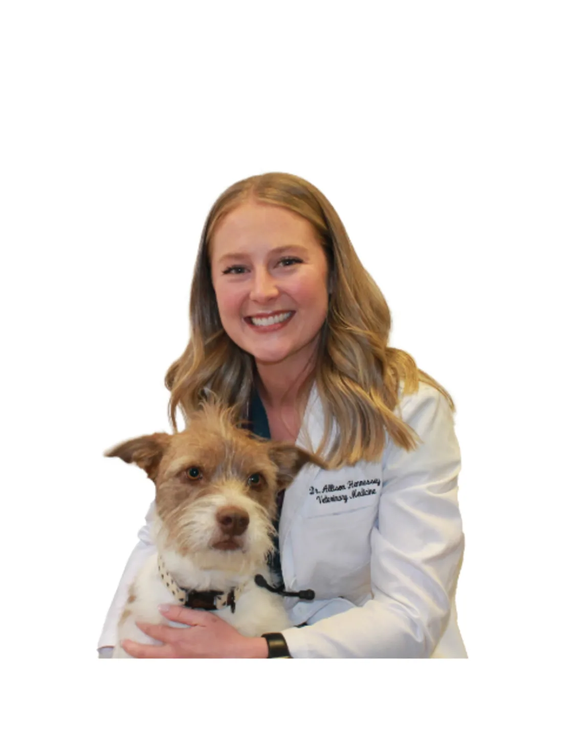 Dr. Allison Hennessey Dr. Allison Hennessey