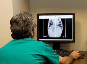 Technician looking at x rays
