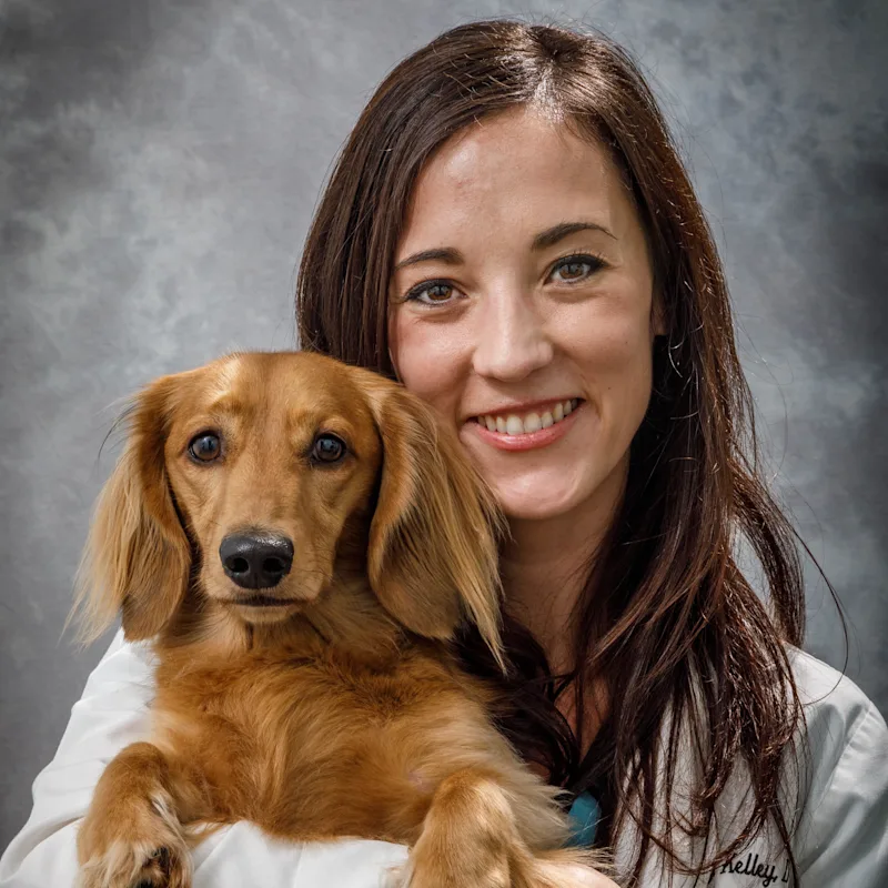 Dr. Kelley holding a dachshund Dr. Kelley holding a dachshund