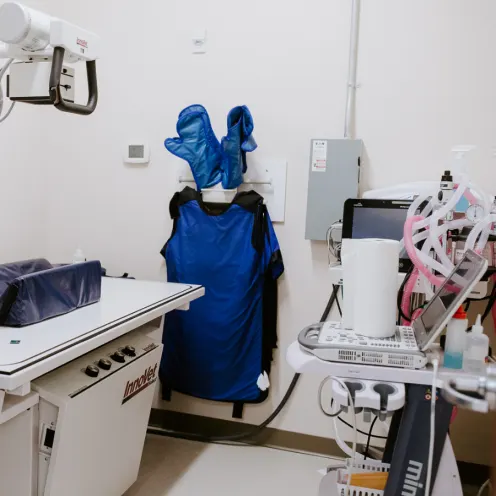 Ultrasound and X-Rays Room