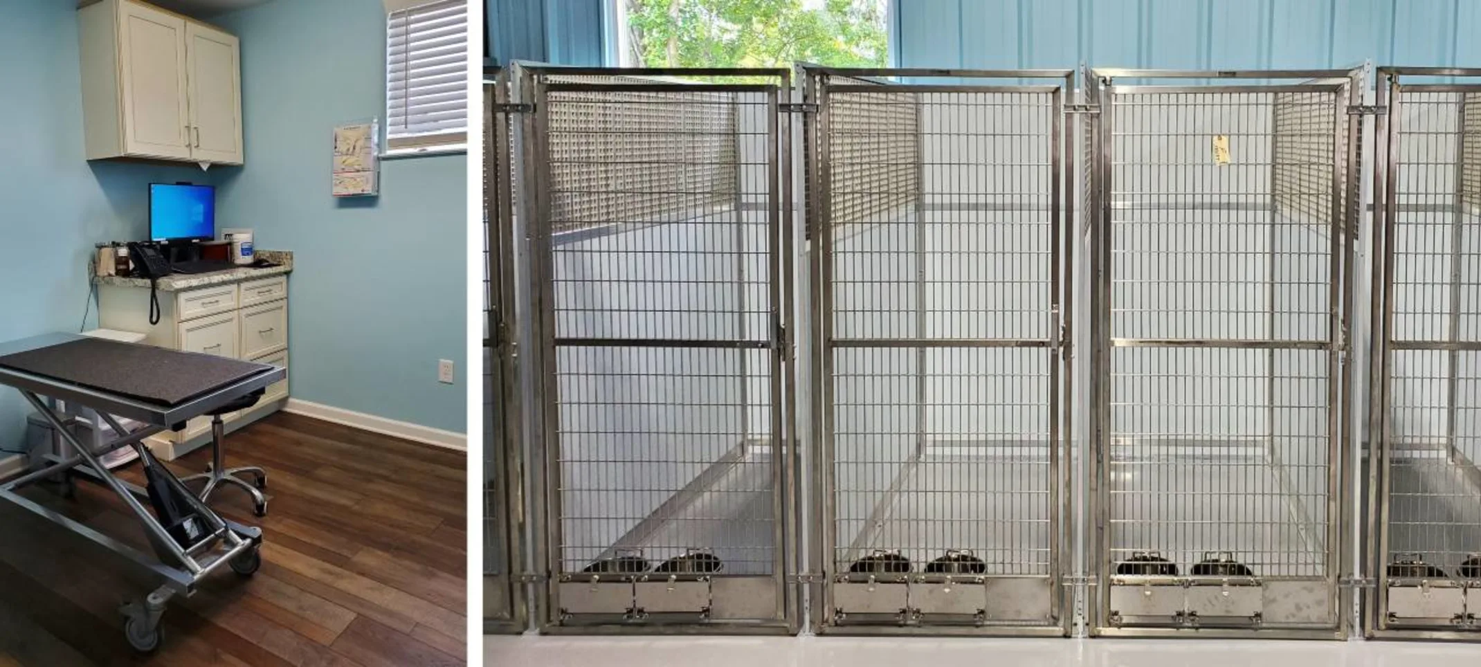 Inside  Lafayette Veterinary Care Clinic's The Playground. Inside  Lafayette Veterinary Care Clinic's The Playground.