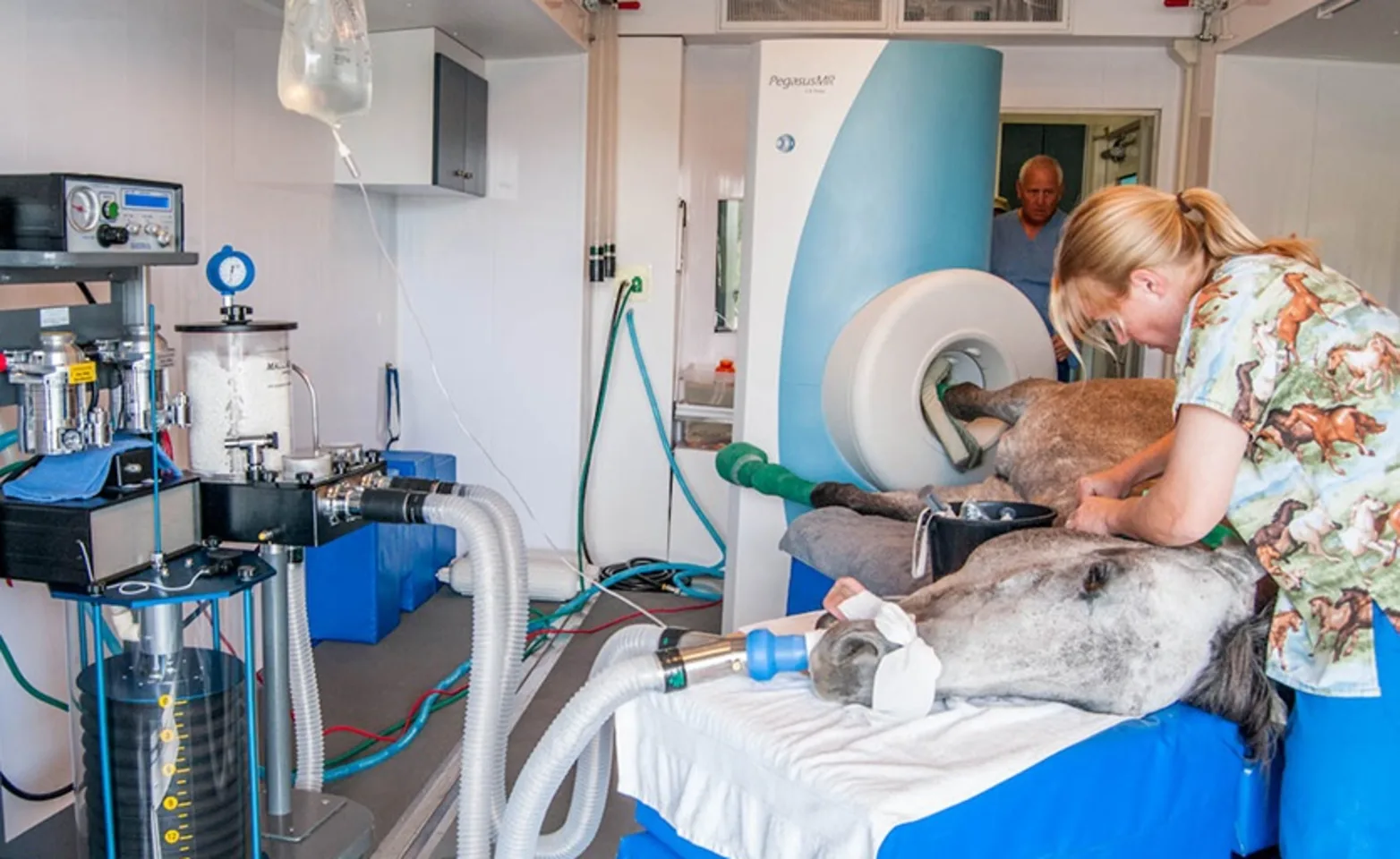 vet getting mri scan from horse vet getting mri scan from horse