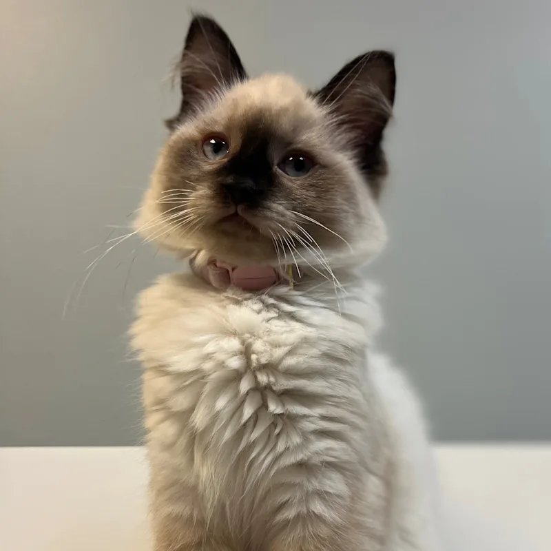 New Staff Member New Staff Member