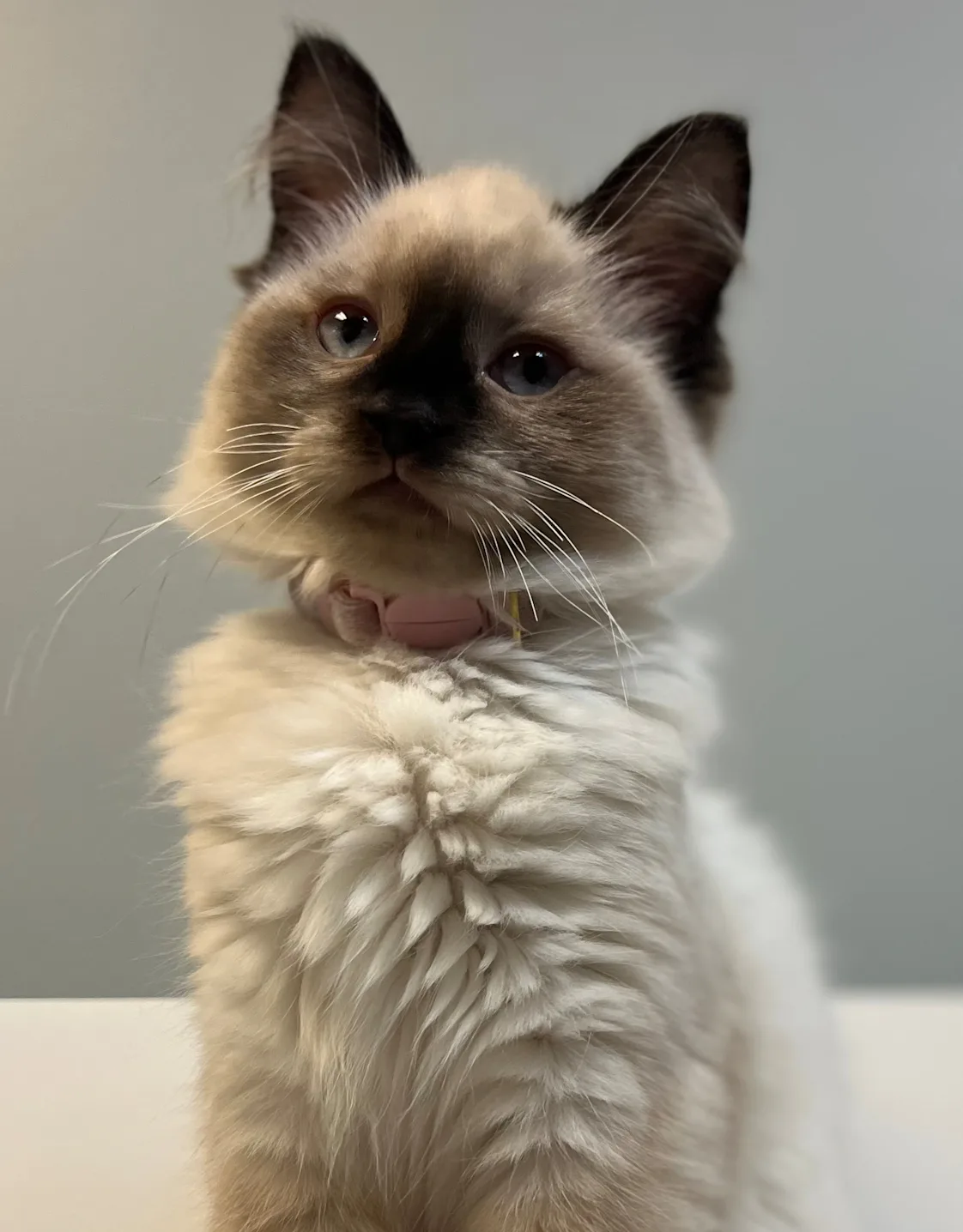 New Staff Member New Staff Member