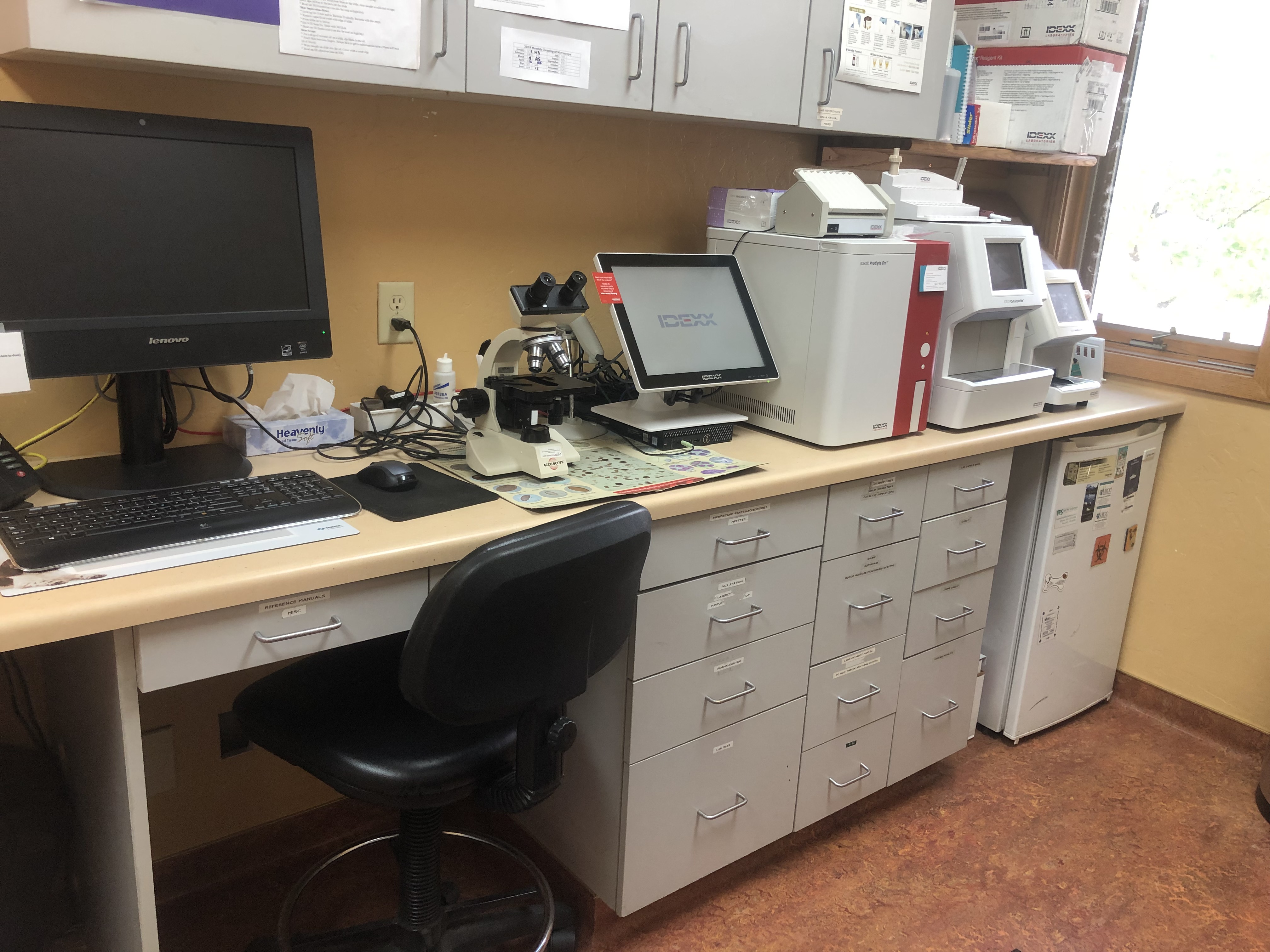 Laboratory area and equipment at Frisco Animal Hospital