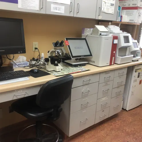 Laboratory area and equipment at Frisco Animal Hospital