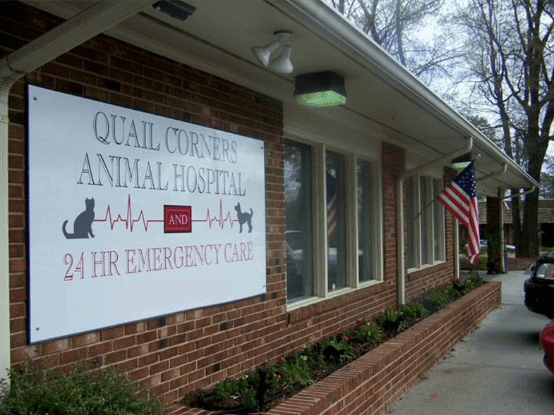 Veterinarian in Raleigh, NC. | Quail Corners Animal Hospital