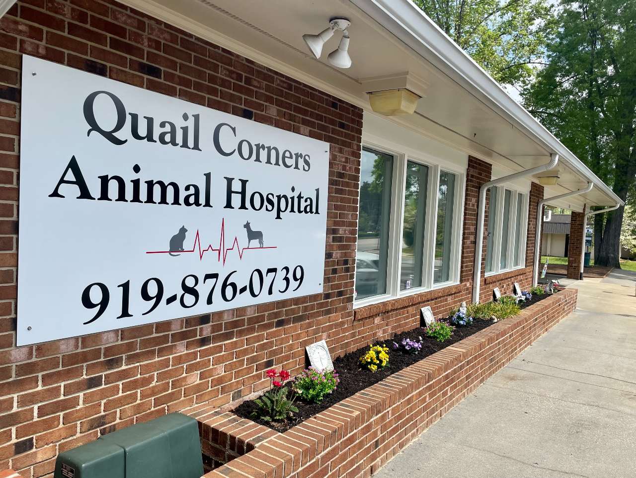 Veterinarian In Raleigh NC Quail Corners Animal Hospital   Quail IMG 3512 