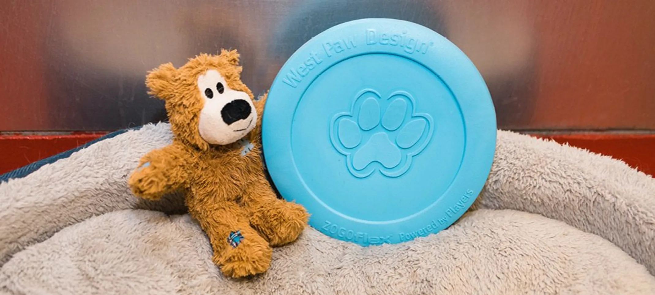 dog toys dog toys