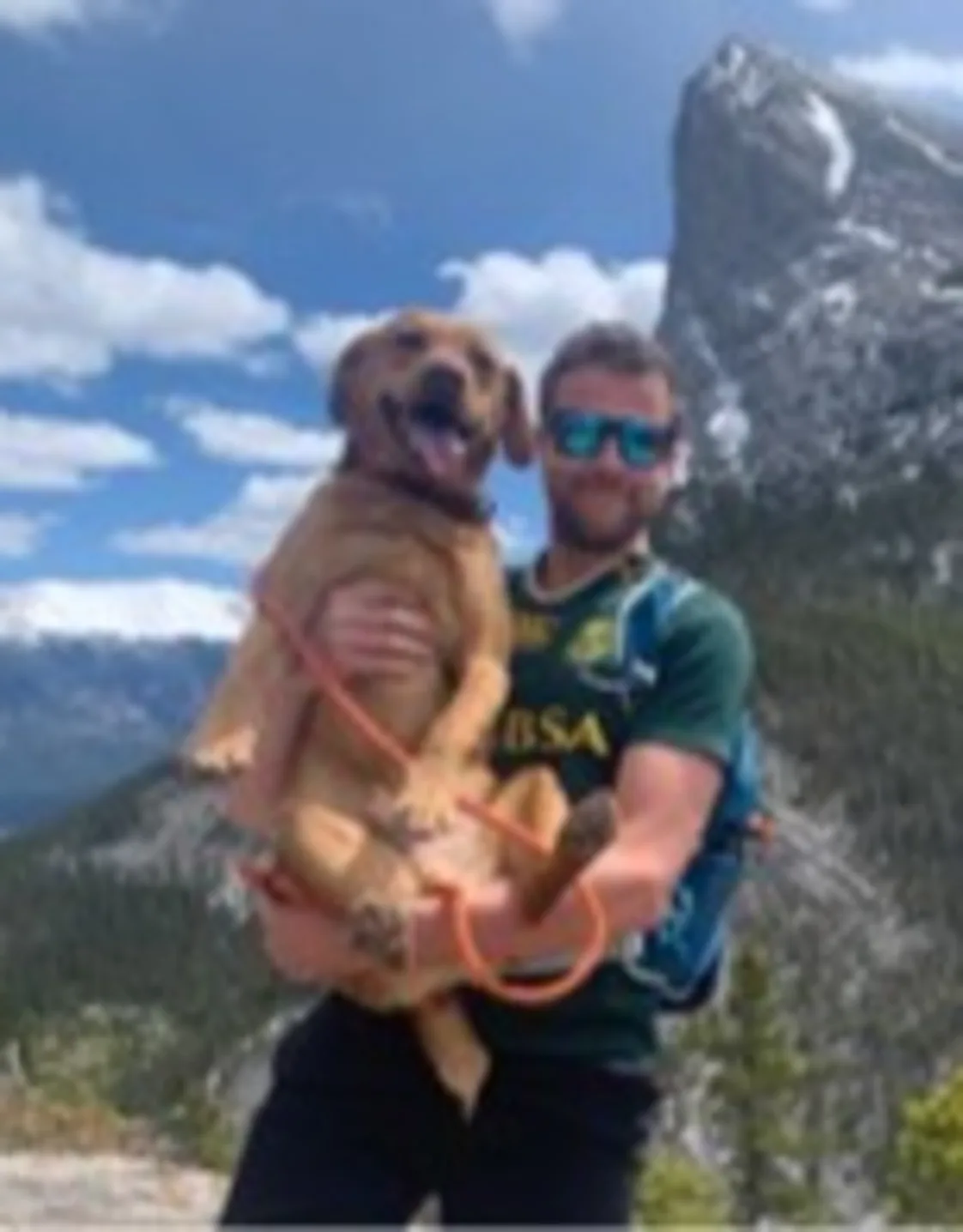 Dr David Frazer Dr David Frazer