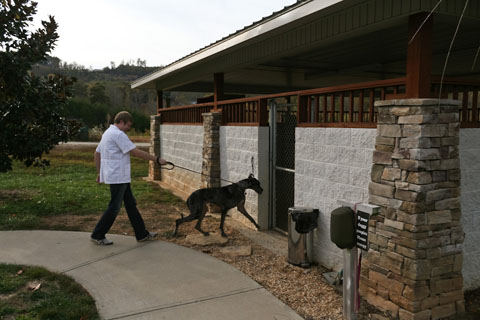 Lake Chatuge Animal Hospital Outdoor Dog Kennel