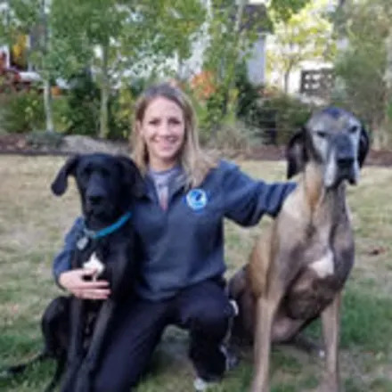 Dr. Liebers with 2 big dogs