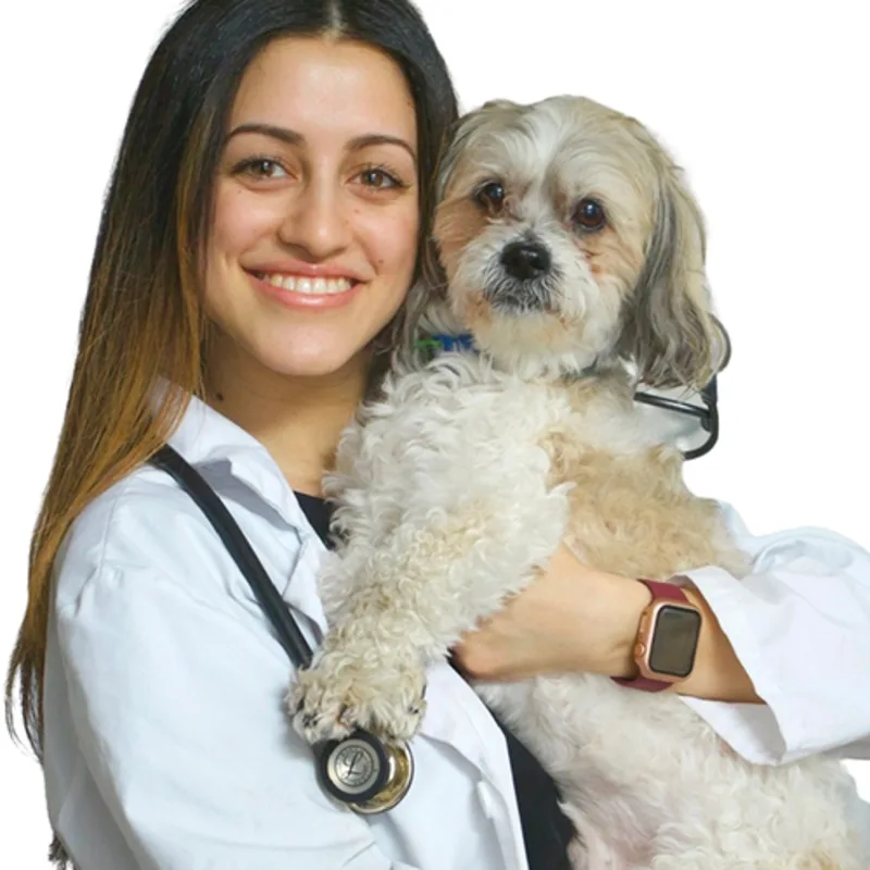 Dr. Maria Dawod Dr. Maria Dawod