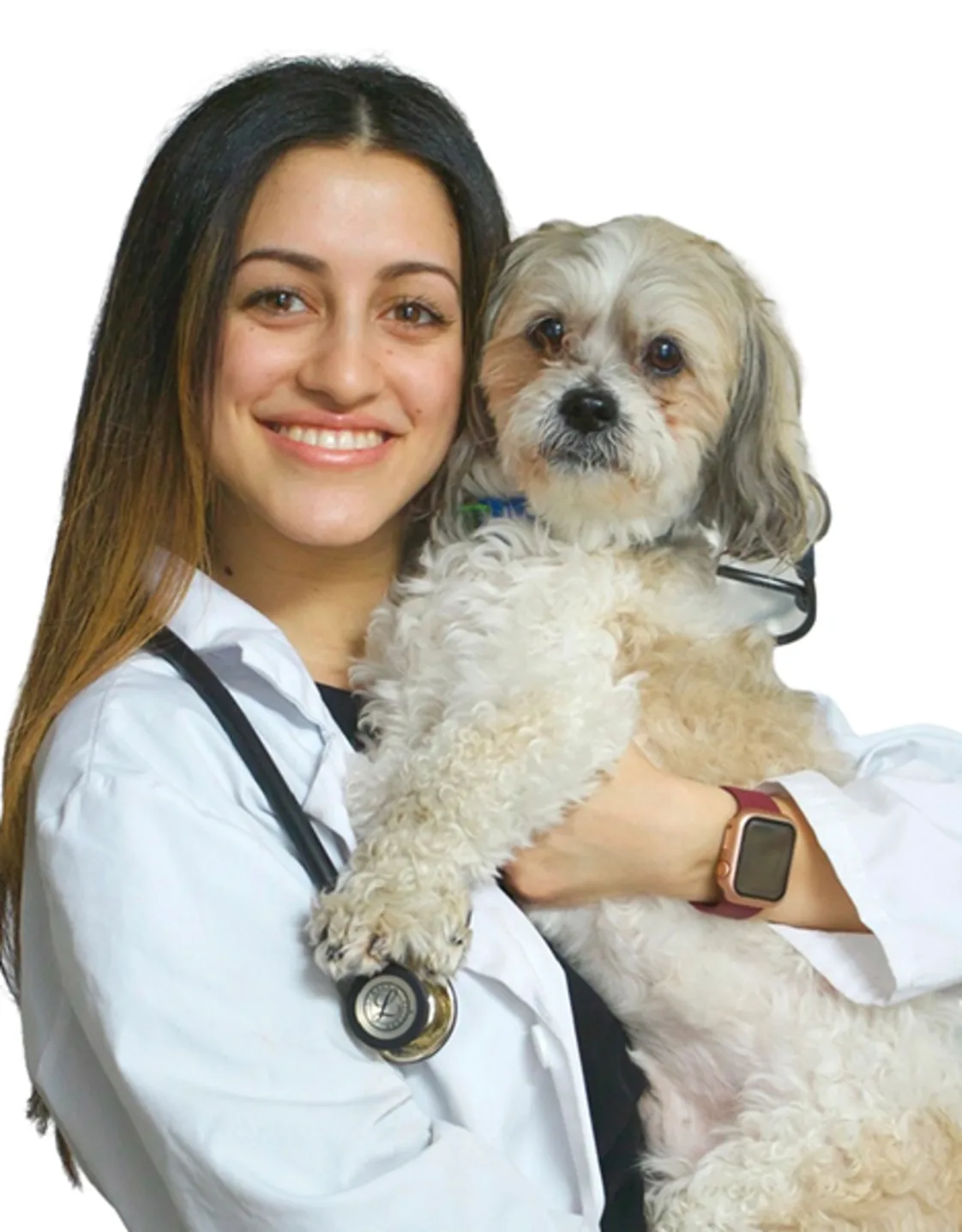 Dr. Maria Dawod Dr. Maria Dawod