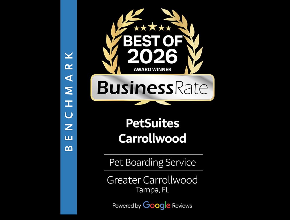 Best of 2026 Business Rate Award Winner