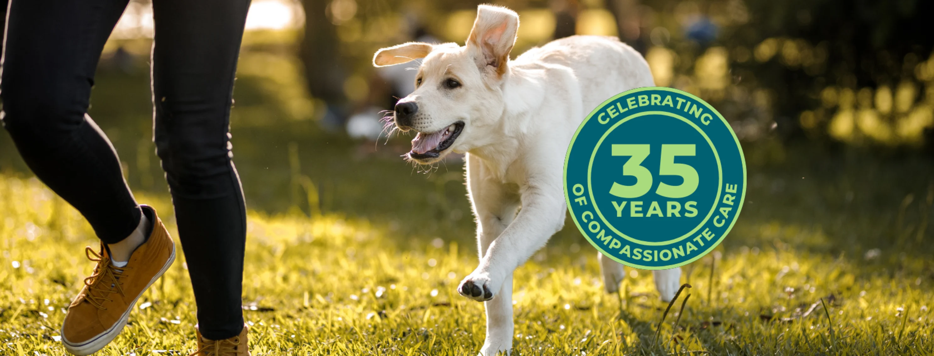 Celebrating 35 Years of Care Celebrating 35 Years of Care