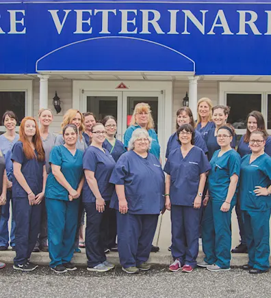 The Shore Veterinarians – Egg Harbor Team standing in front of the facility. The Shore Veterinarians – Egg Harbor Team standing in front of the facility.