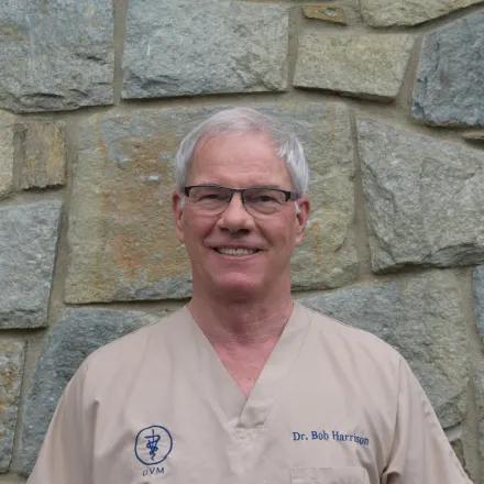 Dr. Robert L. Harrison, veterinarian at Belair Veterinary Hospital in Bowie, MD