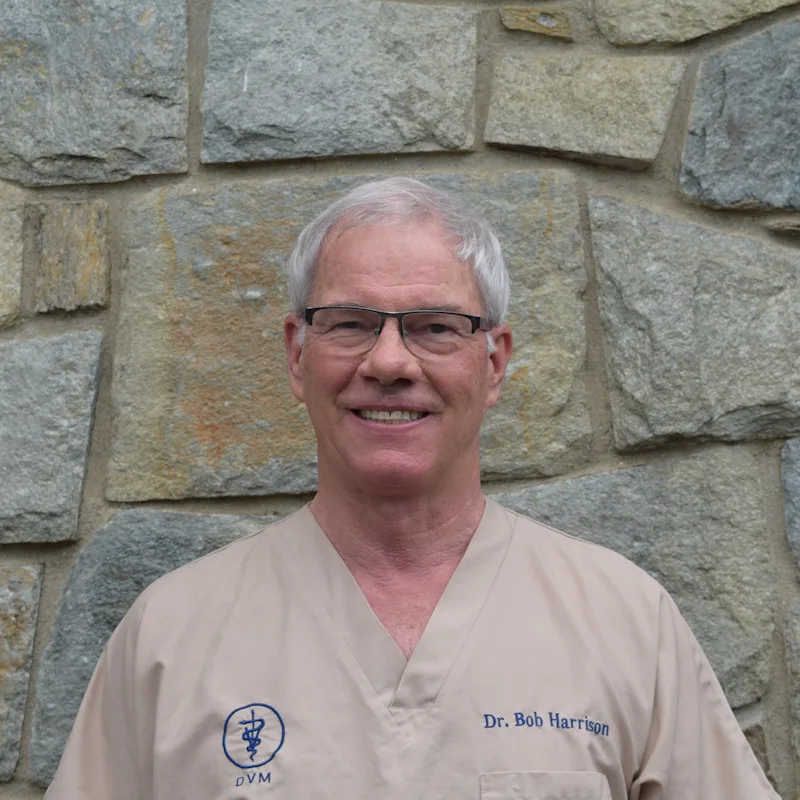 Dr. Robert L. Harrison, veterinarian at Belair Veterinary Hospital in Bowie, MD Dr. Robert L. Harrison, veterinarian at Belair Veterinary Hospital in Bowie, MD