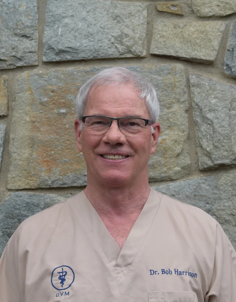 Dr. Robert L. Harrison, veterinarian at Belair Veterinary Hospital in Bowie, MD