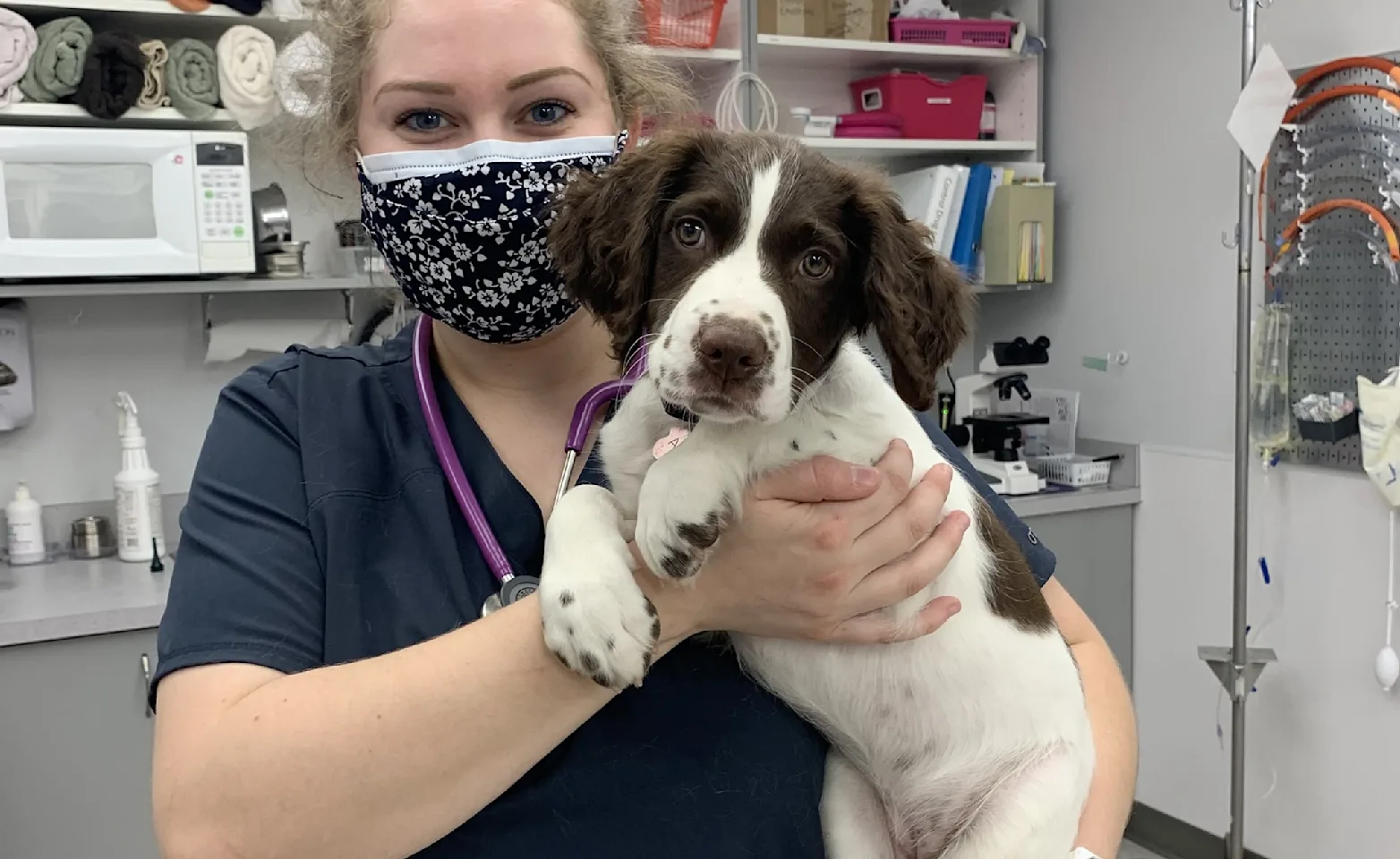 dog and staff in westview vet services