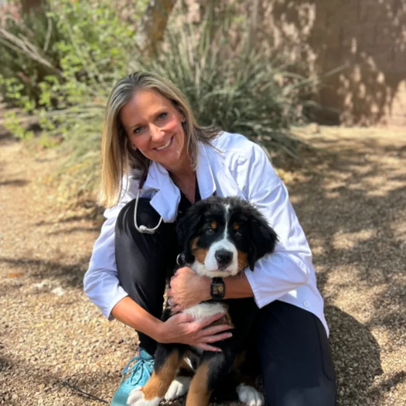 Dr. Jill Bronz Dr. Jill Bronz