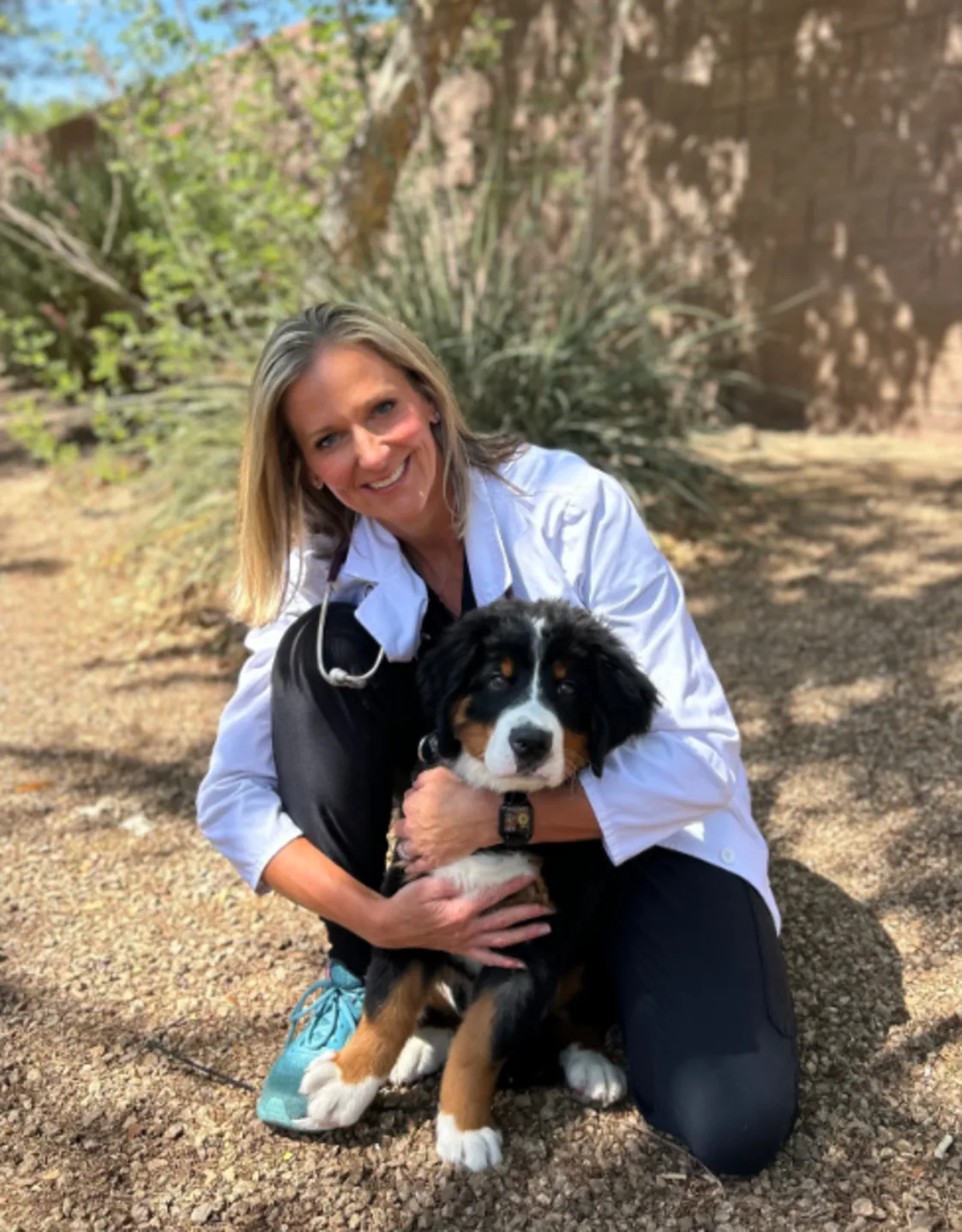 Dr. Jill Bronz Dr. Jill Bronz