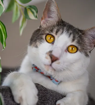 Toast Malone Toast Malone