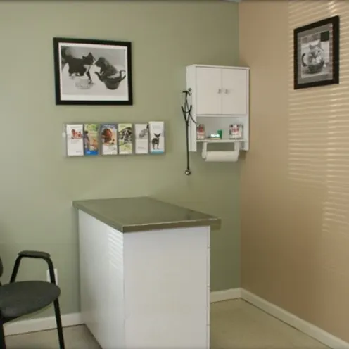 Exam Room 2 AVA exam room 2