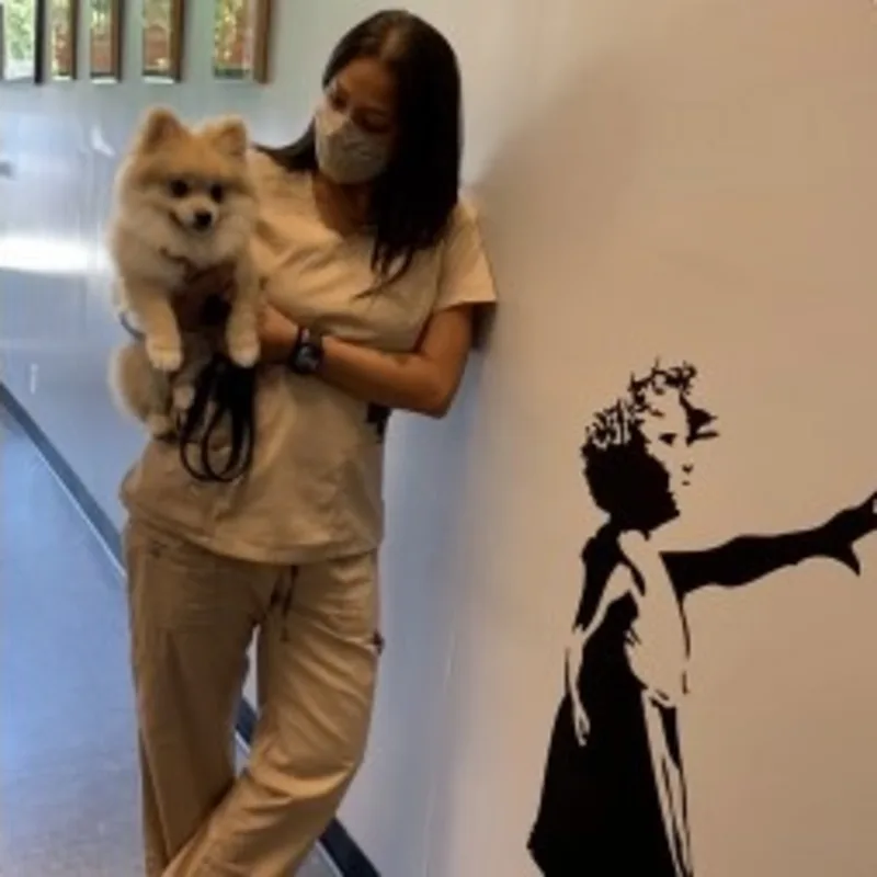 Zeenat Castro, CSR at Veterinary Care Group - Little Neck Zeenat Castro, CSR at Veterinary Care Group - Little Neck