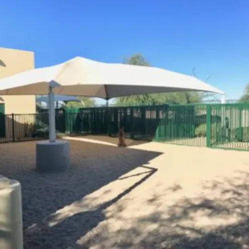 Ocotillo Animal Clinic and Pet Resort Outdoor Area