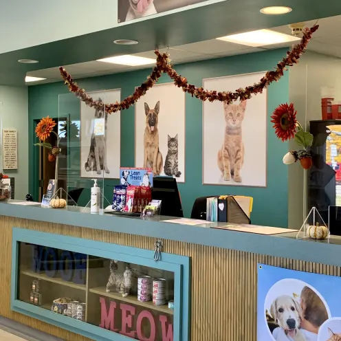 Reception at Camboro Veterinary Hospital