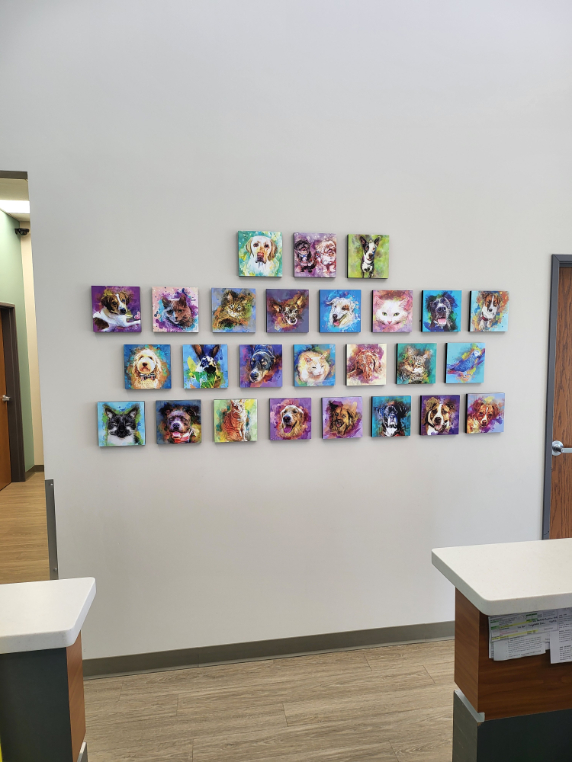 Colorful Pet Portrait Wall