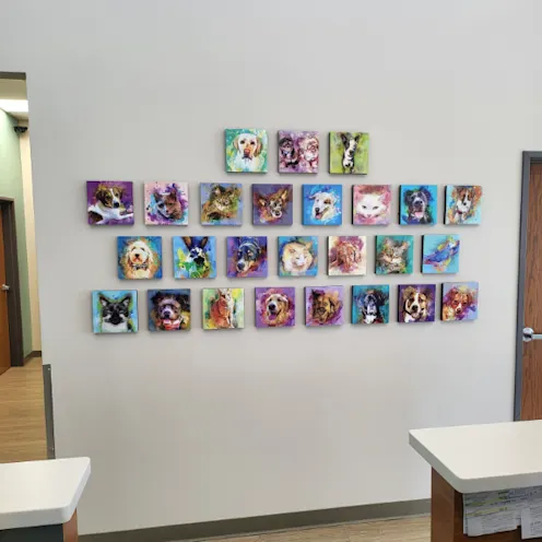 Colorful Pet Portrait Wall Colorful Pet Portrait Wall