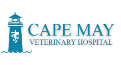 Cape May Veterinary Hospital Logo