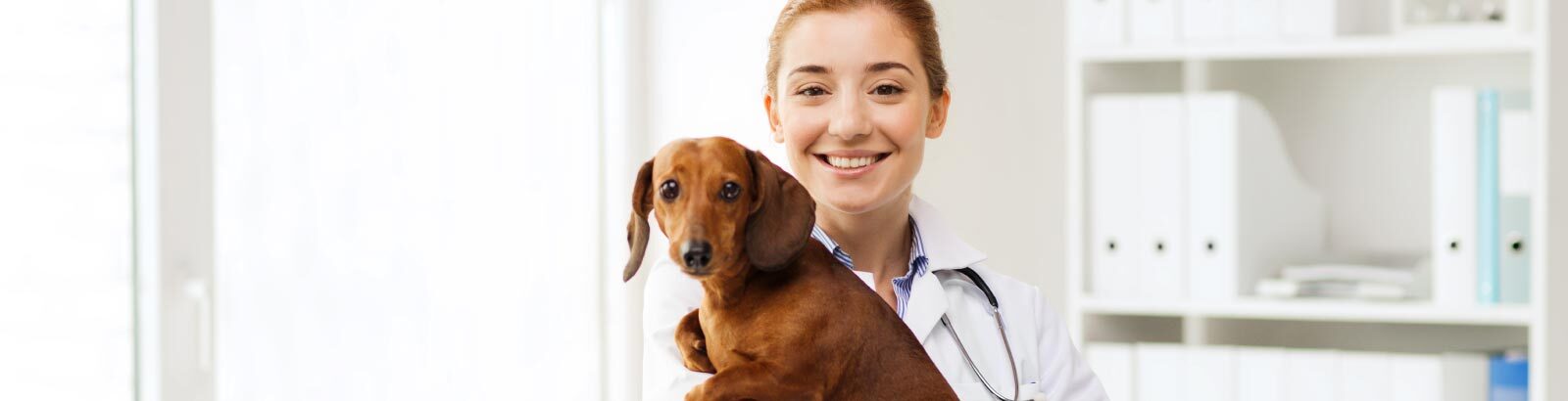 Veterinary Services Love Pet Hospital