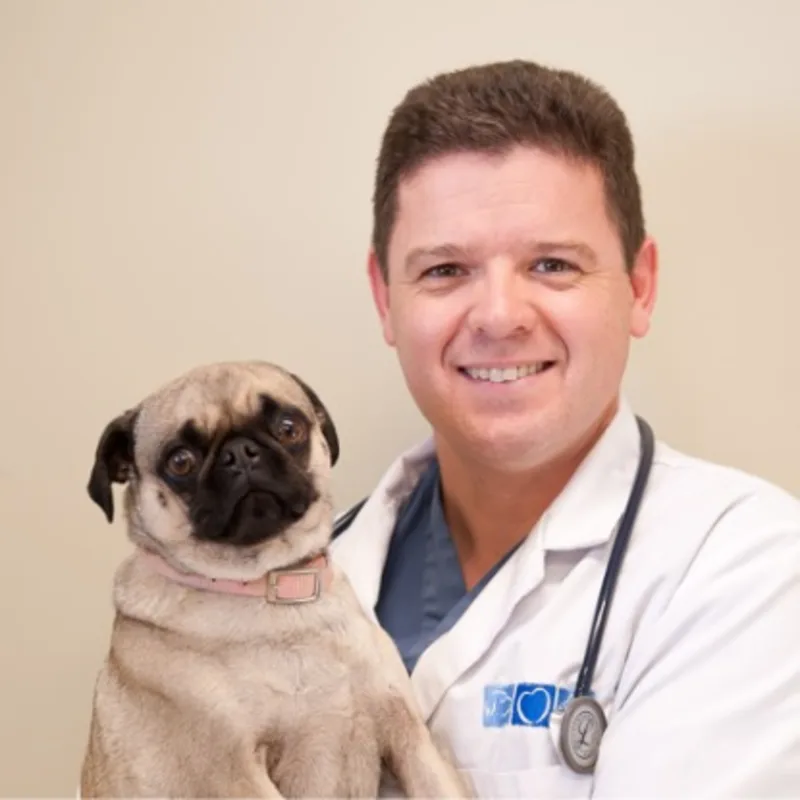 Dr. Trevor Henry Dr. Trevor Henry