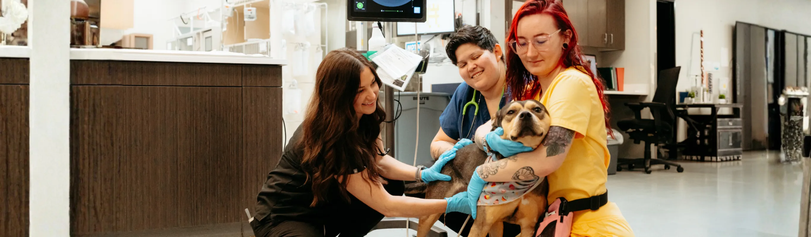 Emergency at Southern Oregon Veterinary Specialty Center Emergency at Southern Oregon Veterinary Specialty Center
