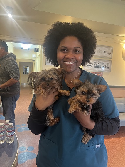 staff member with two dogs