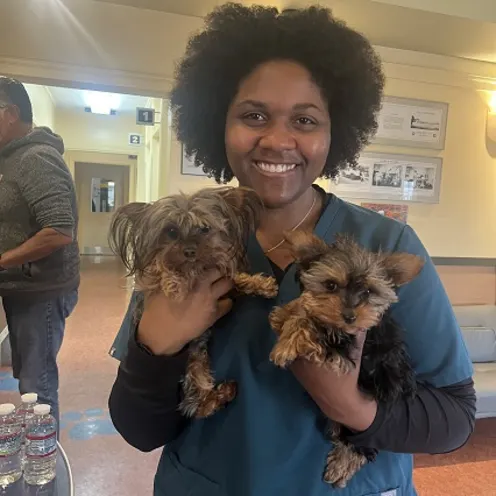 staff member with two dogs