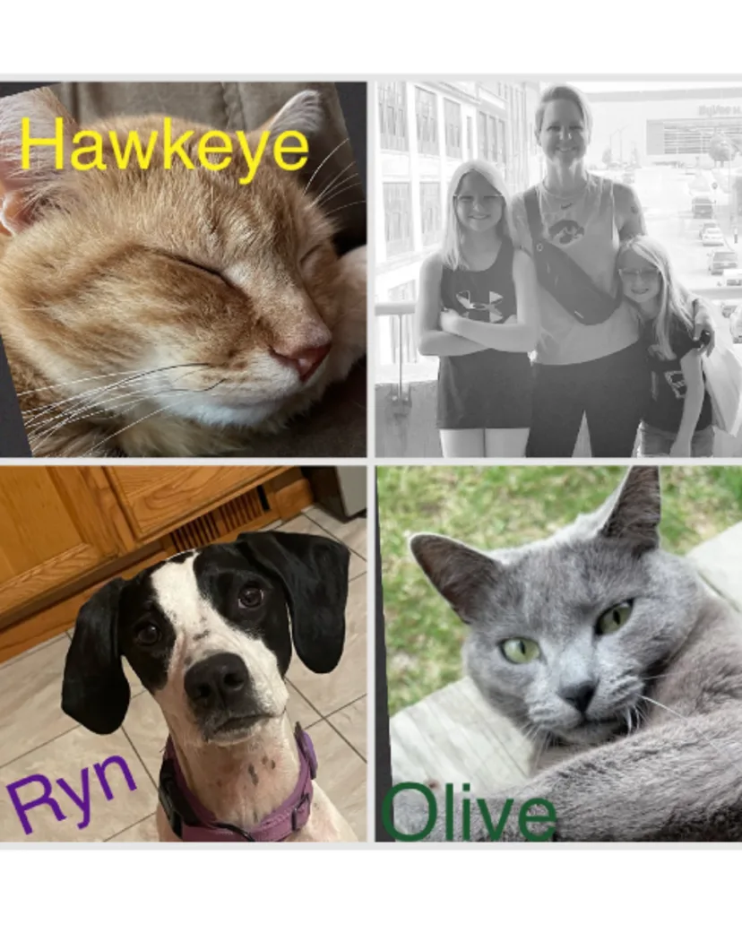 Value Vet's Vanessa with her daughters, along with photos of her two cats Hawkeye and Olive and her dog Ryn