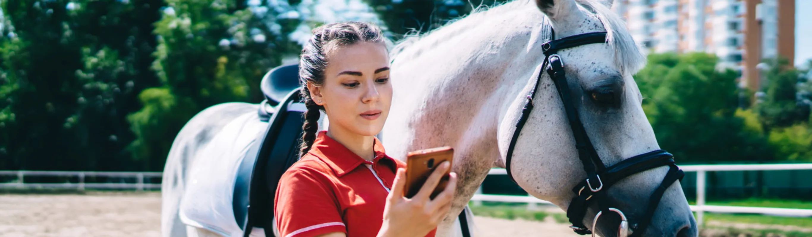 Girl with her cell phone and a horse Girl with her cell phone and a horse