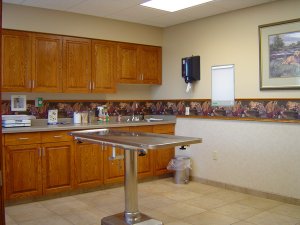 Small Animal Hospital Examination Room