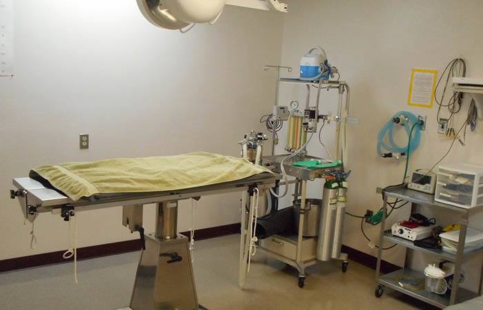 Manzano Animal Clinic