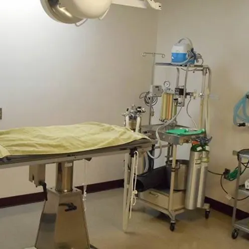 Manzano Animal Clinic Manzano Animal Clinic